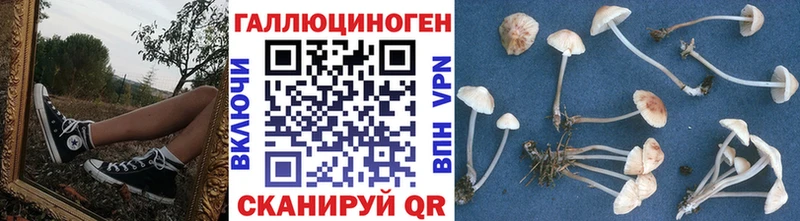 Псилоцибиновые грибы GOLDEN TEACHER  Вольск 